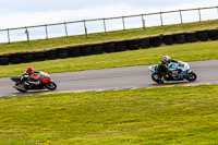 PJ-Motorsport-2019;anglesey-no-limits-trackday;anglesey-photographs;anglesey-trackday-photographs;enduro-digital-images;event-digital-images;eventdigitalimages;no-limits-trackdays;peter-wileman-photography;racing-digital-images;trac-mon;trackday-digital-images;trackday-photos;ty-croes